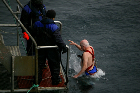 polar plunge