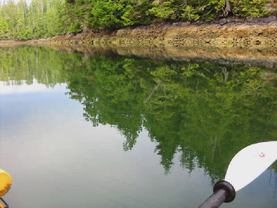 reflections off the water