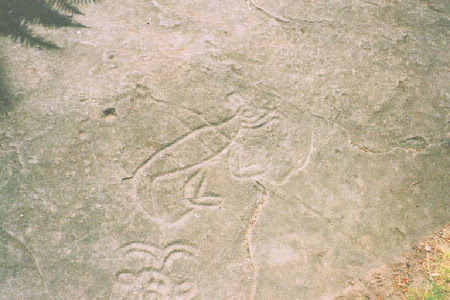 petroglyphs