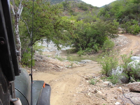Sierra La Laguna - 2