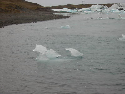 shark iceberg