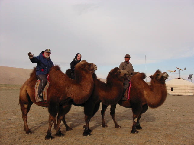 batrick camels