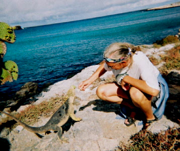 land iguana