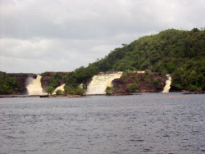 salto sapo