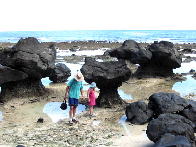 tide pools