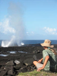 blowholes